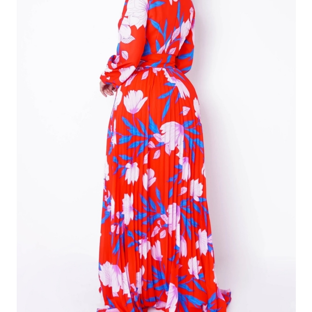 DRESS - Picture 2 of 3